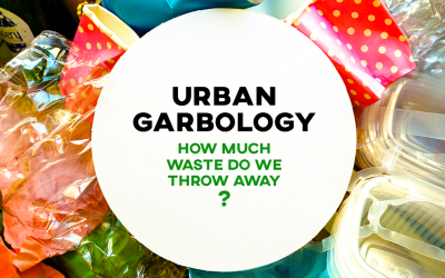 Urban Garbology: How Much Waste Do We Throw Away?